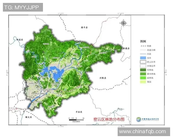 武汉排球队区域防守创新探索与战术变革的深度分析 武汉排球队区域防守创新探索与战术变革的深度分析