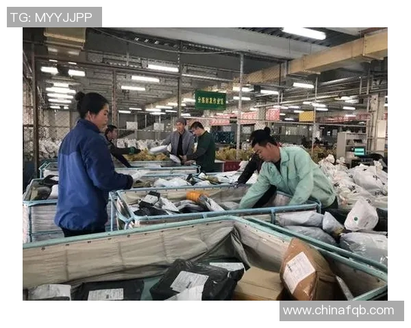 对话杨娜:回顾DOTA2职业生涯的挑战与成就 对话杨娜:回顾DOTA2职业生涯的挑战与成就