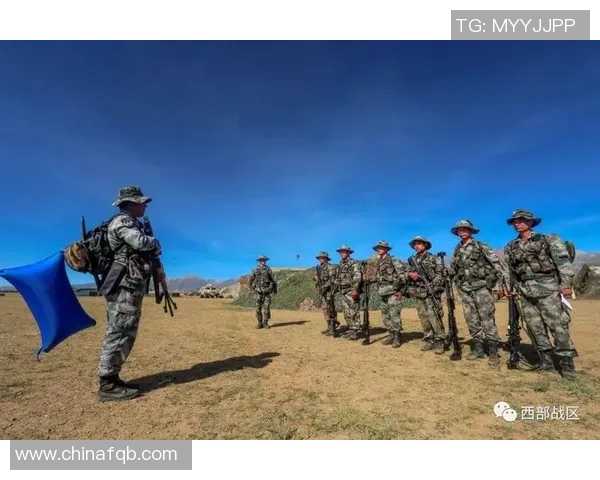 战术手册：提升实战技能，掌握制胜关键